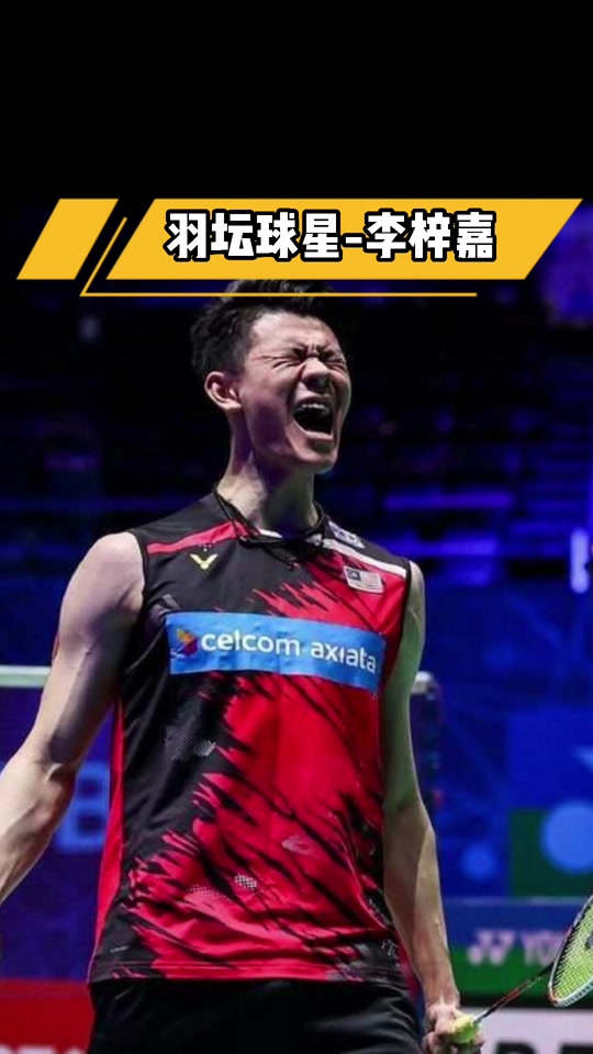印度队力克马来西亚队,李梓嘉高光表现的简单介绍 印度队力克马来西亚队,李梓嘉高光表现的简单介绍