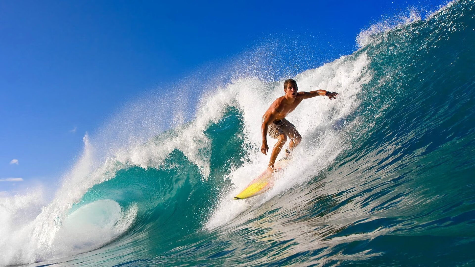 欧冠决赛焦点战启示录，广东队如何以雷霆之势拿下关键胜利